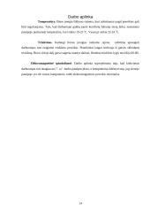 Biuro eskizinis ergonominis projektas 14 puslapis