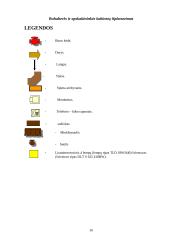 Biuro eskizinis ergonominis projektas 16 puslapis