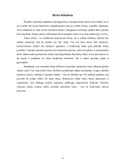 Biuro eskizinis ergonominis projektas 4 puslapis