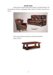 Biuro eskizinis ergonominis projektas 6 puslapis