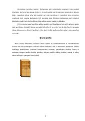 Biuro eskizinis ergonominis projektas 8 puslapis