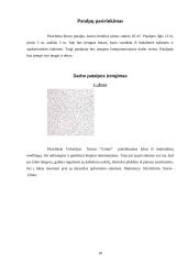 Biuro eskizinis ergonominis projektas 10 puslapis