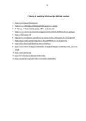 Verslo etikos reikšmė buhalterės, buhalterio veiklai 16 puslapis