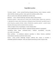 Verslo etikos reikšmė buhalterės, buhalterio veiklai 3 puslapis