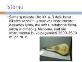 Muzikos instrumentai ir jų istorija 3 puslapis