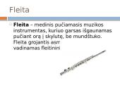 Muzikos instrumentai ir jų istorija 4 puslapis