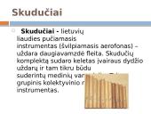 Muzikos instrumentai ir jų istorija 7 puslapis