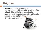 Muzikos instrumentai ir jų istorija 8 puslapis