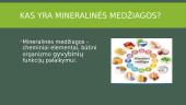 Kas yra mineralinės medžiagos? 2 puslapis