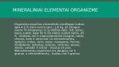 Kas yra mineralinės medžiagos? 7 puslapis