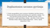 Savanos ir retmiškiai 12 puslapis
