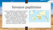 Savanos ir retmiškiai 3 puslapis