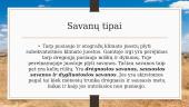 Savanos ir retmiškiai 4 puslapis