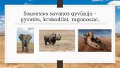 Savanos ir retmiškiai 10 puslapis