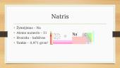 Natris ir nikelis 3 puslapis