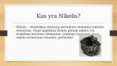 Natris ir nikelis 6 puslapis