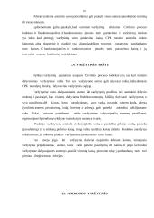 Varžytinių tvarka (samprata, ypatumai, pasekmės, dokumentai, vedėjai) 10 puslapis