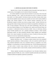 Buhalterinės apskaitos pagrindų savarankiškas darbas 3 puslapis