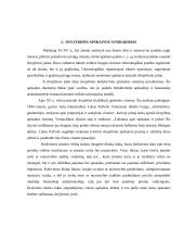 Buhalterinės apskaitos pagrindų savarankiškas darbas 5 puslapis