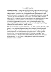 Turizmo plėtros galimybės Lietuvoje 2 puslapis