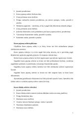 Buhalterijos apskaita 7 puslapis