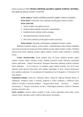 Klasės auklėtojo poveikis ugdant mokinio vertybes 4 puslapis