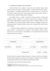 Klasės auklėtojo poveikis ugdant mokinio vertybes 7 puslapis