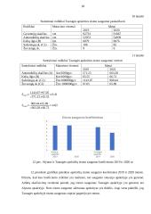 Keleivių vežimo organizavimas reguliariais reisais 17 puslapis