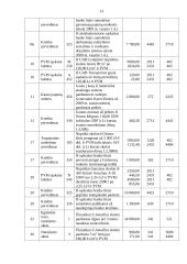 Buhalterinė apskaita: UAB "Rasa" 13 puslapis