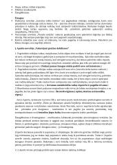Juozo Apučio kontekstai 2 puslapis