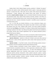 Buhalterinė apskaita: UAB "Skanėstas" 2 puslapis