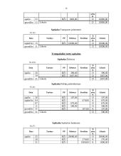 Buhalterinė apskaita: UAB "Skanėstas" 15 puslapis