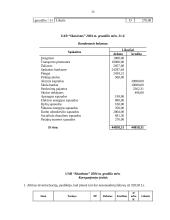 Buhalterinė apskaita: UAB "Skanėstas" 19 puslapis