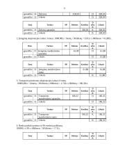 Buhalterinė apskaita: UAB "Skanėstas" 20 puslapis