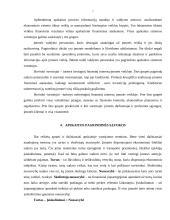 Buhalterinė apskaita: UAB "Skanėstas" 6 puslapis