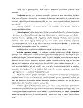 Buhalterinė apskaita: UAB "Skanėstas" 7 puslapis