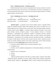 Buhalterinė apskaita: UAB "Skanėstas" 8 puslapis