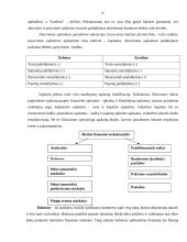 Buhalterinė apskaita: UAB "Skanėstas" 9 puslapis