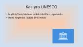 UNESCO pasaulio paveldas Lietuvoje 3 puslapis
