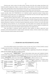 Buhalterinės apskaitos organizavimas UAB "Interverslas" 2 puslapis