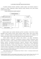 Buhalterinės apskaitos organizavimas UAB "Interverslas" 11 puslapis