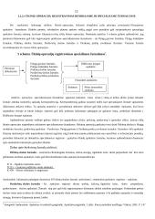 Buhalterinės apskaitos organizavimas UAB "Interverslas" 12 puslapis