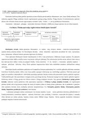 Buhalterinės apskaitos organizavimas UAB "Interverslas" 14 puslapis