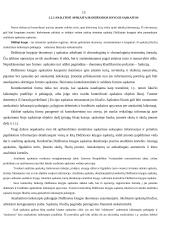 Buhalterinės apskaitos organizavimas UAB "Interverslas" 15 puslapis