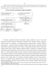 Buhalterinės apskaitos organizavimas UAB "Interverslas" 19 puslapis