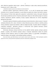 Buhalterinės apskaitos organizavimas UAB "Interverslas" 4 puslapis