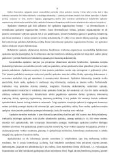 Buhalterinės apskaitos organizavimas UAB "Interverslas" 6 puslapis