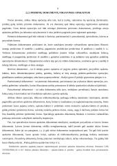 Buhalterinės apskaitos organizavimas UAB "Interverslas" 9 puslapis