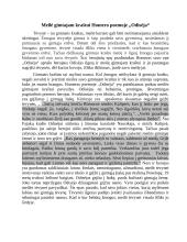 Meilė gimtajam kraštui Homero ,,Odisėjoje“ 2 puslapis