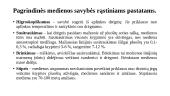 Mediena rastiniams pastatams 7 puslapis